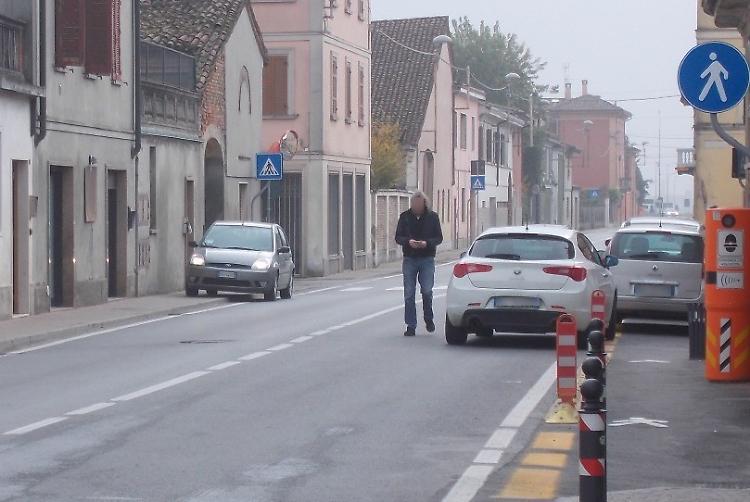 Ladri: porta sfondata e furto, salve le due cagnoline