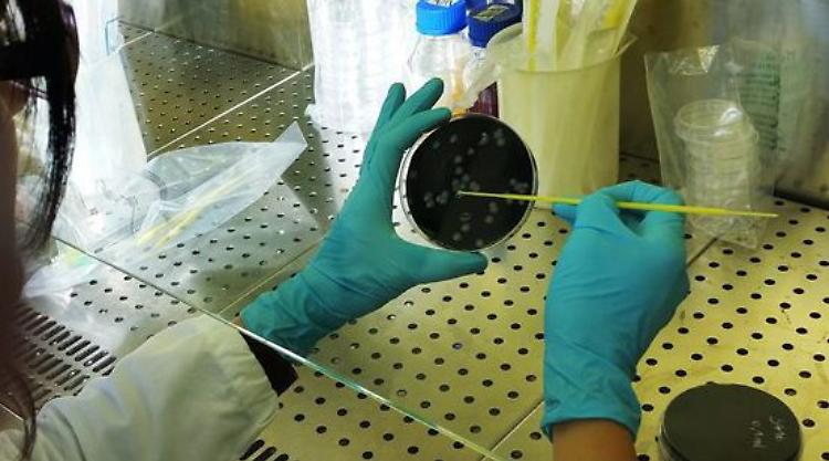 Legionella nelle condutture, disinfestazione in un motel