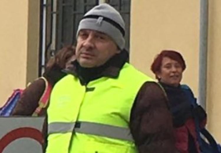 insulti
