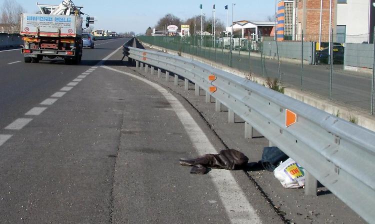 Paullese di nuovo discarica