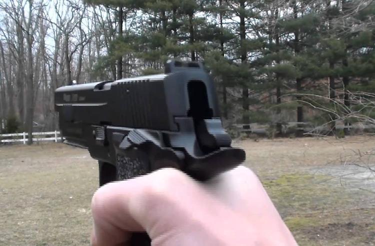 Spara a cani, gatti e pollame: caccia al tiratore che odia gli animali