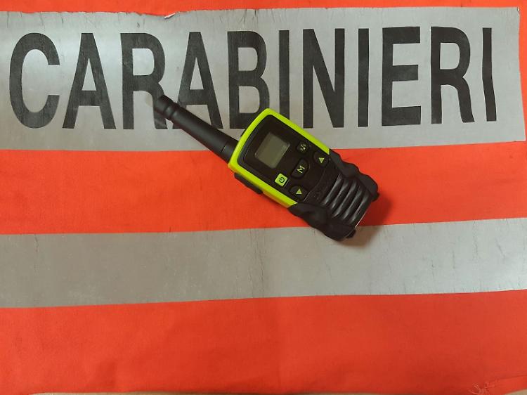 Ladri di appartamento, arrestati dopo inseguimento