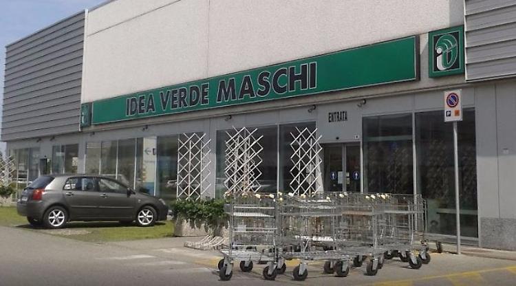 Maschi