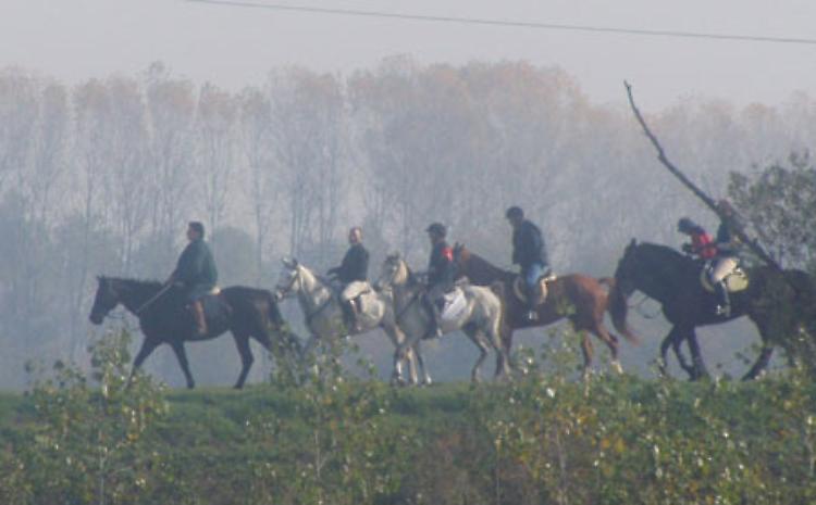 Parco Oglio Nord - 3 passeggiate a cavallo