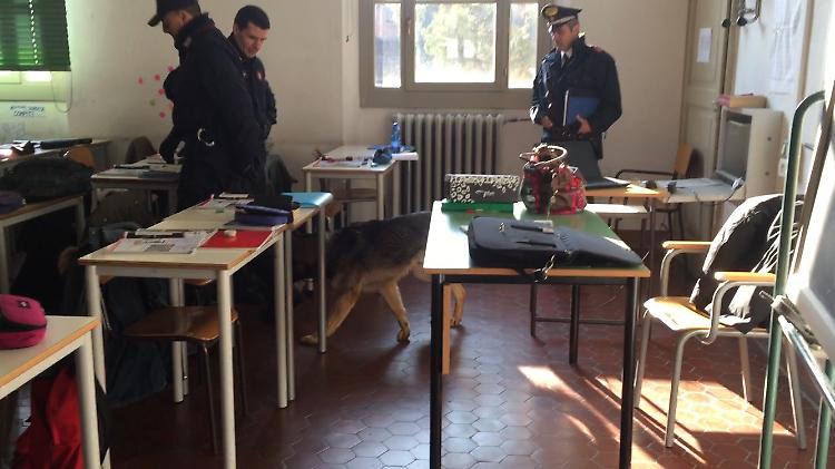 Cane antidroga tra i banchi, nessuno stupefacente all'Anguissola