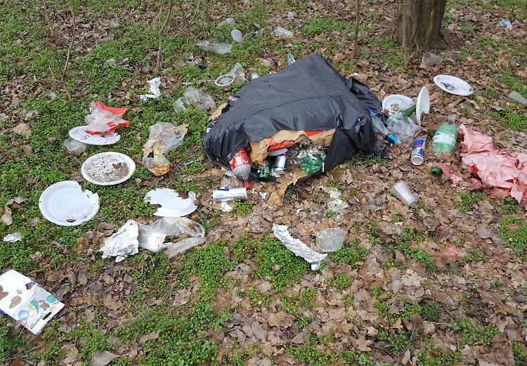 Discarica selvaggia in via Vulpariolo