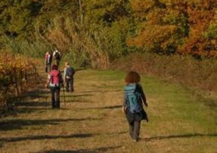 Camminatori del CremascoPasseggiata nel verde tra "etica e morale"
