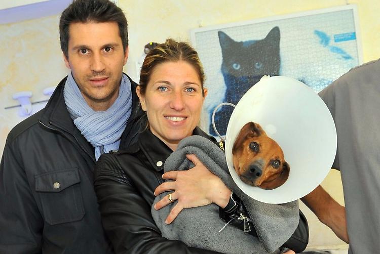 Pallino è tornato a casa