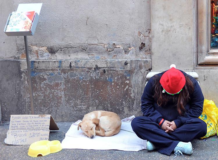 Al bando l'accattonaggio con i cani