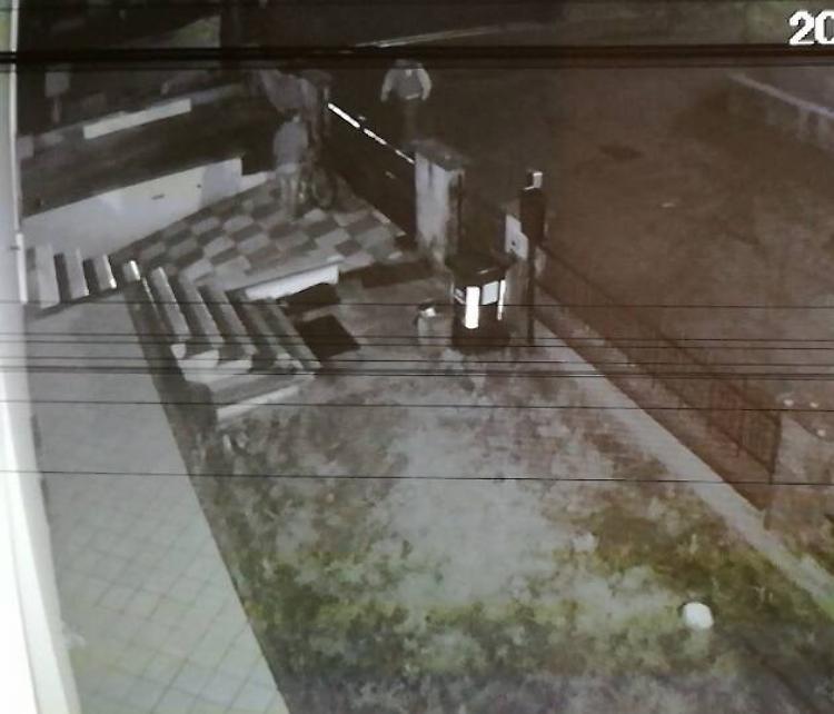 Ladri in casa e in azienda, filmati mentre rubano bici
