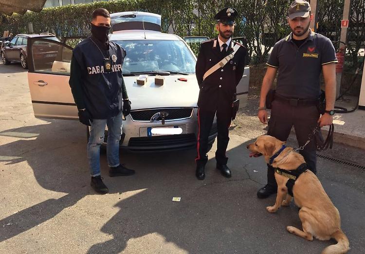Corriere della droga bloccato in A21 al casello di Caorso