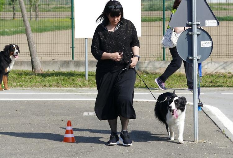 Al via la nona edizione del Patentino per proprietari di cani 