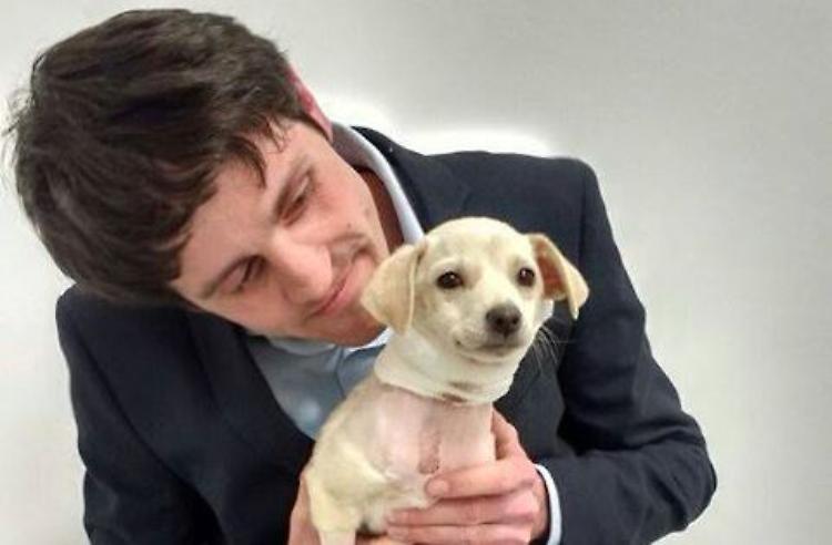 Per la cucciola Jenny buono il decorso post operatorio 