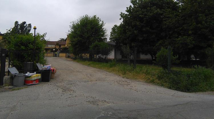 Gatti avvelenati, scatta l'allerta bocconi killer