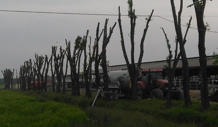 Incendio e paura in cascina, bruciate duecento rotoballe