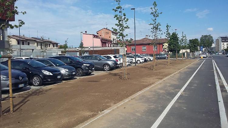 Polo Tecnologico, messi a dimora 43 nuovi alberi