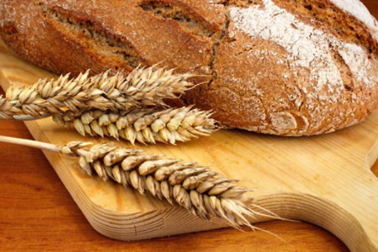 Il "Pane quotidiano: non solo pane comune" 