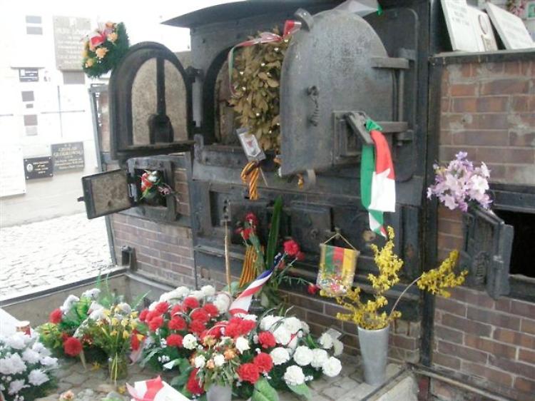 Viaggio della Memoria 2017: i contributi degli studenti