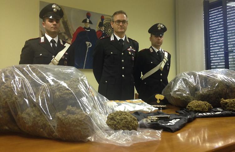 Droga per oltre 500mila euro, maxi sequestro a Crema