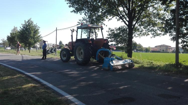 Puntura d'ape fatale per un agricoltore