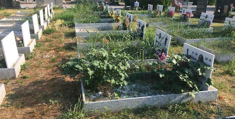 Cimitero, terra di nessuno: erba alta tra le sepolture e proteste