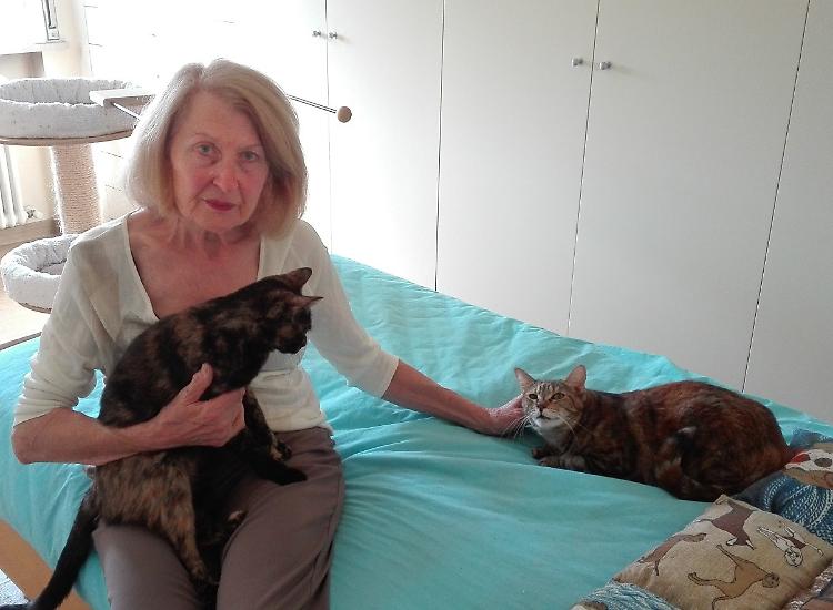 Oasi felina, la protesta delle 'gattare'