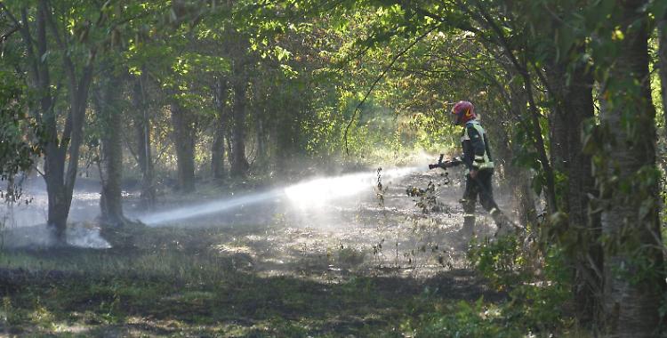 Incendio al Fenilone, i pompieri domano le fiamme