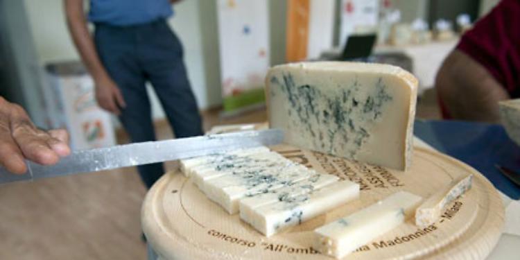 19° Edizione - Sagra nazionale del Gorgonzola