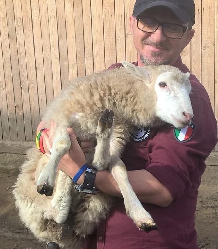 Cena Vegan  a favore del rifugio 'Italia-Ukraine' di Andrea Cisternino