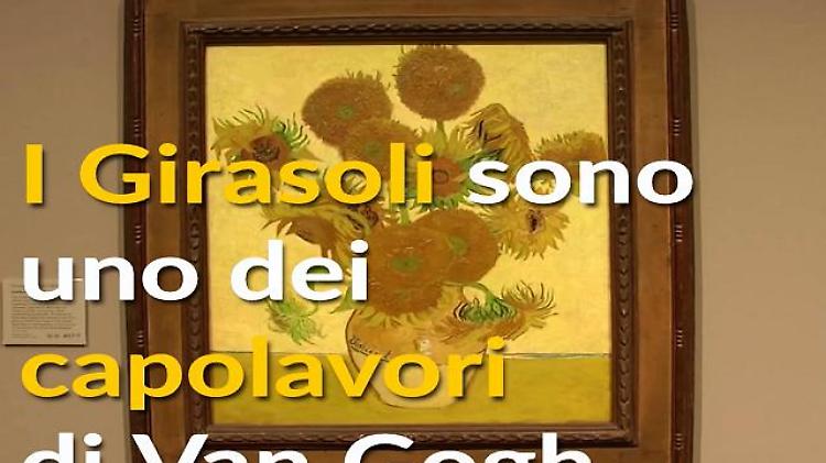 I girasoli di Van Gogh insieme grazie alla realtà virtuale