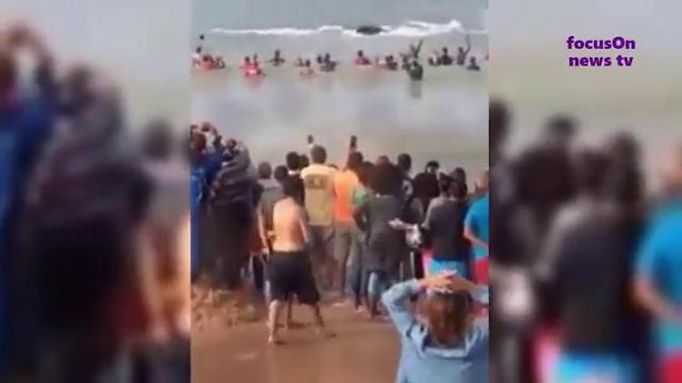  Brasile, bagnanti salvano megattera di 10 metri spiaggiata vicino a Rio
