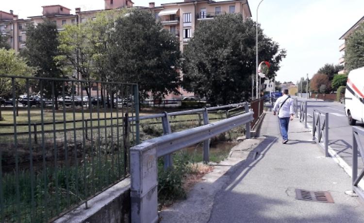 Nutrie per strada, spavento: allertato anche il Comune