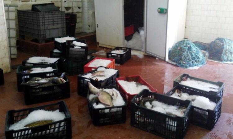 Blitz anti bracconaggio, sequestri e denunce