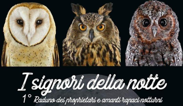 1° Raduno Italiano dei Proprietari e Amanti Rapaci Notturni