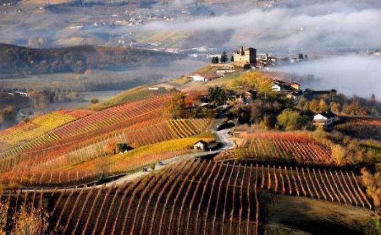 Quattro passi nelle Langhe 
