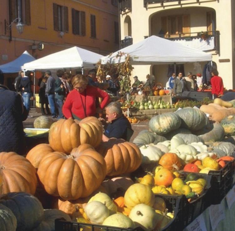 Festa Della Zucca - Edizione 2017