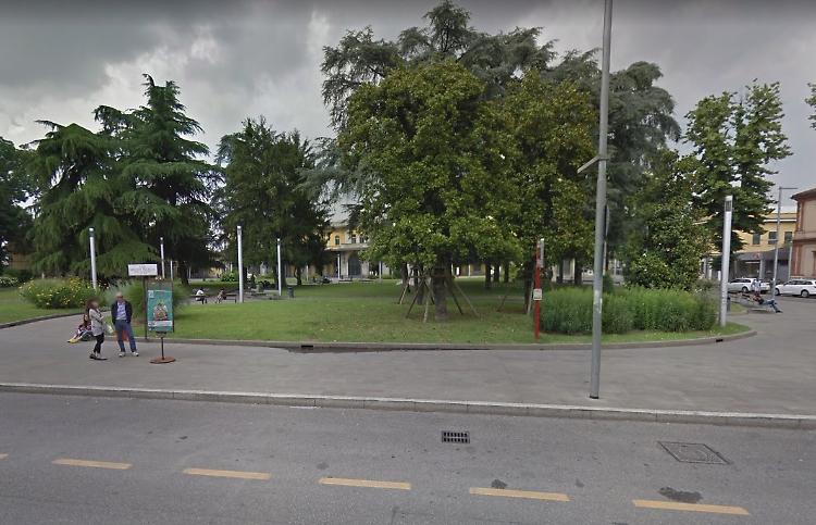 Piazzale stazione, tre tigli saranno abbattuti