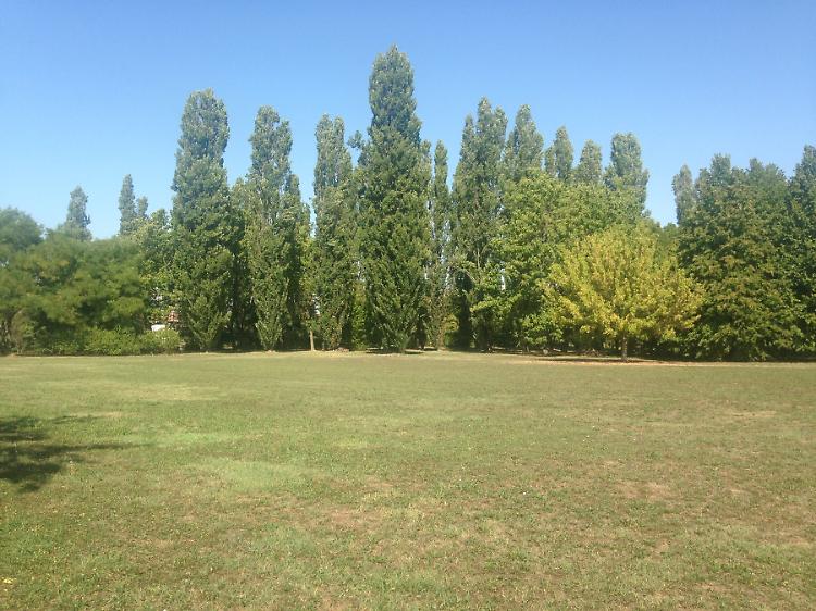 Parco Asia, l'area a disposizione di tutti