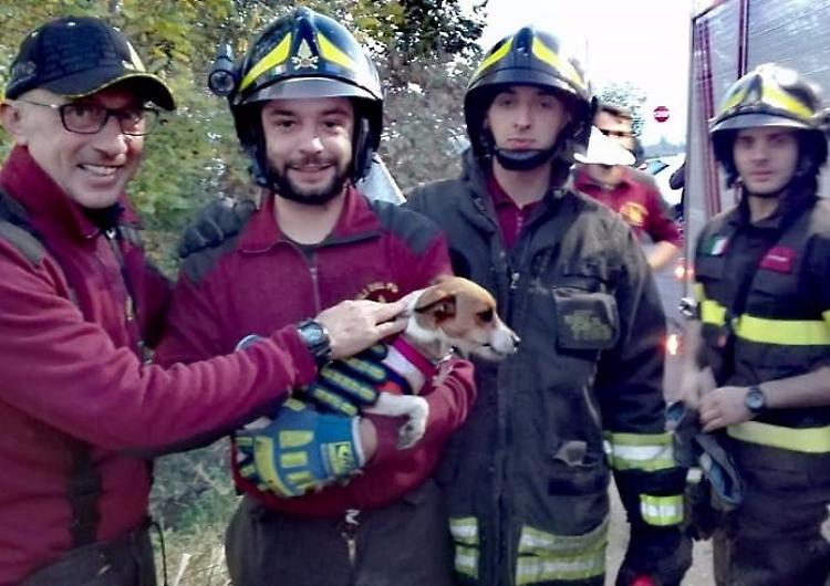 Nella tana delle nutrie. Cane salvato dai pomperi