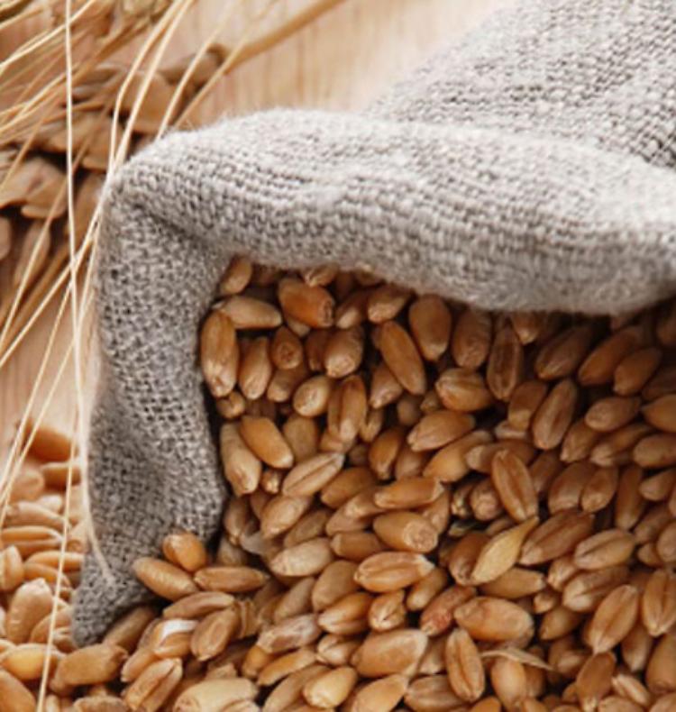 Farina di grano duro Perciasacchi