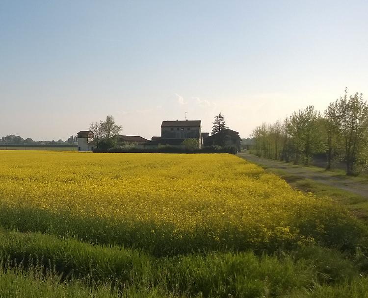 Strada Sud