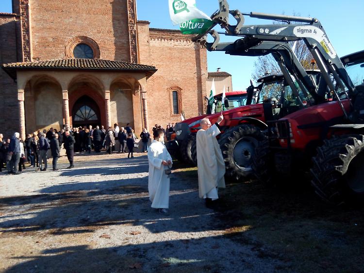 Libera