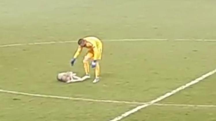 Europa League, invasione di campo inaspettata: l'husky vuole giocare con il portiere