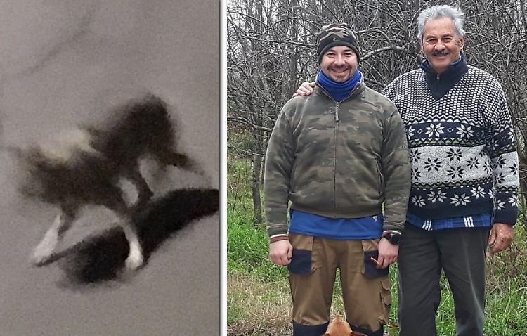 "Per noi era un bellissimo lupo, fotografato da pochi metri"