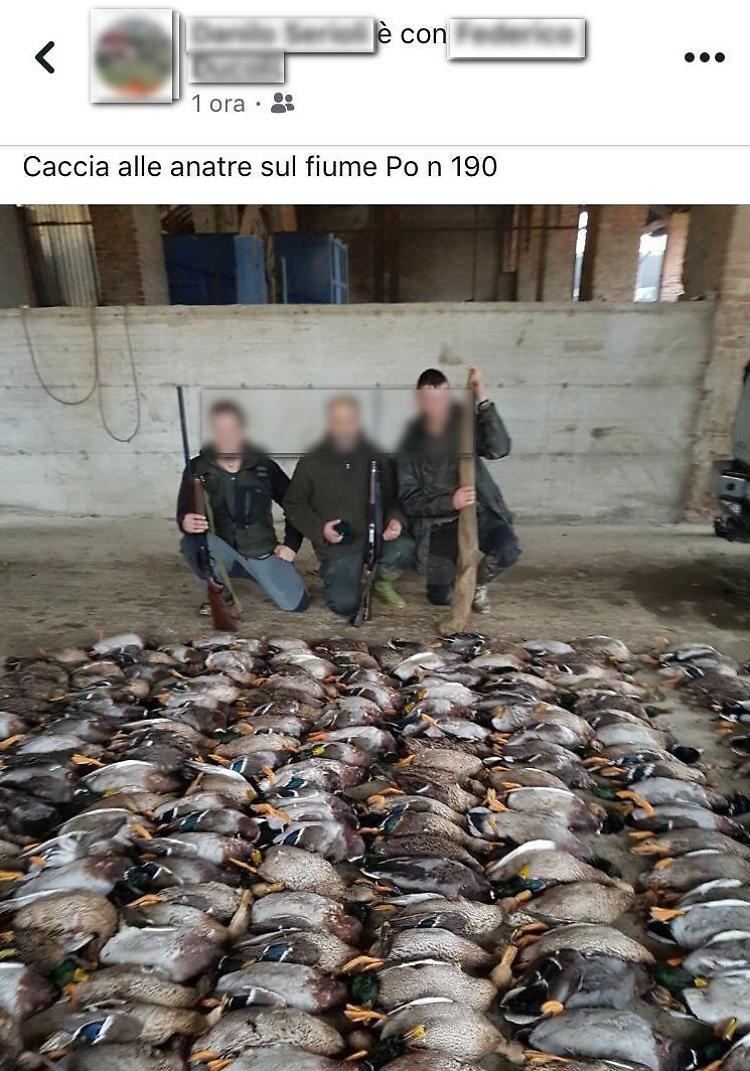 Minacciati dai cacciatori troppo vicini alle case