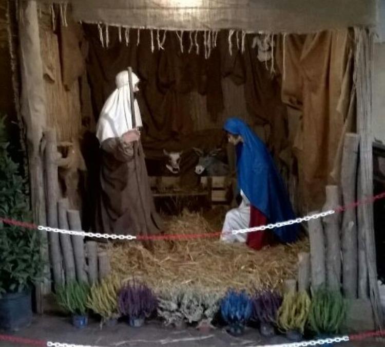 Rubano pecorelle e Bambin Ges&ugrave;, amarezza tra i volontari