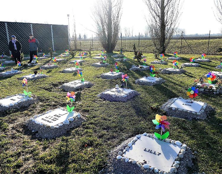 Il cimitero degli animali si riempie