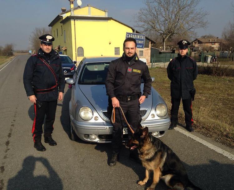 Fugge all'alt dei Cc, caccia all'uomo nei campi