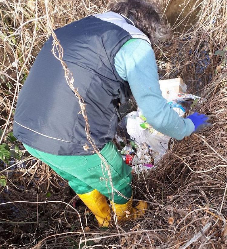 Animali morti buttati in una roggia