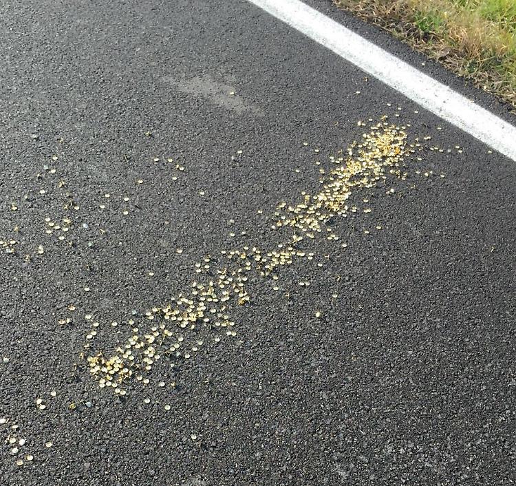Puntice gettate sull'asfalto, biciclette bucate